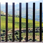 Hétvégi ház Quinta Da Pitarrela