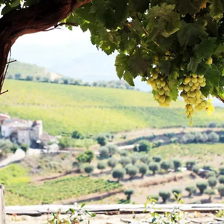 Lantställe Quinta Da Pitarrela