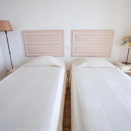 Quinta Da Pitarrela 乡村民宿 *