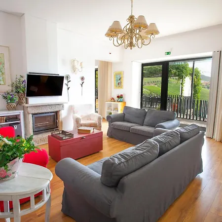 Quinta Da Pitarrela 乡村民宿