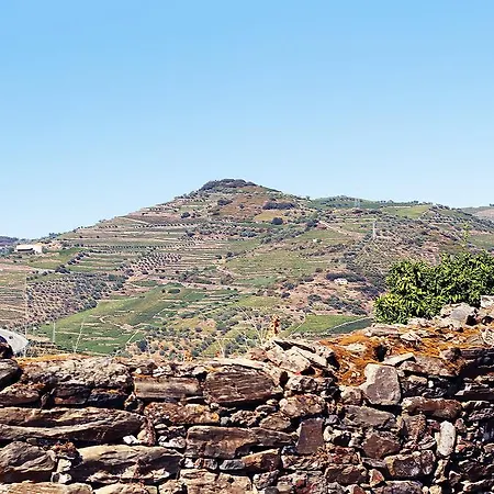 Quinta Da Pitarrela Landsted