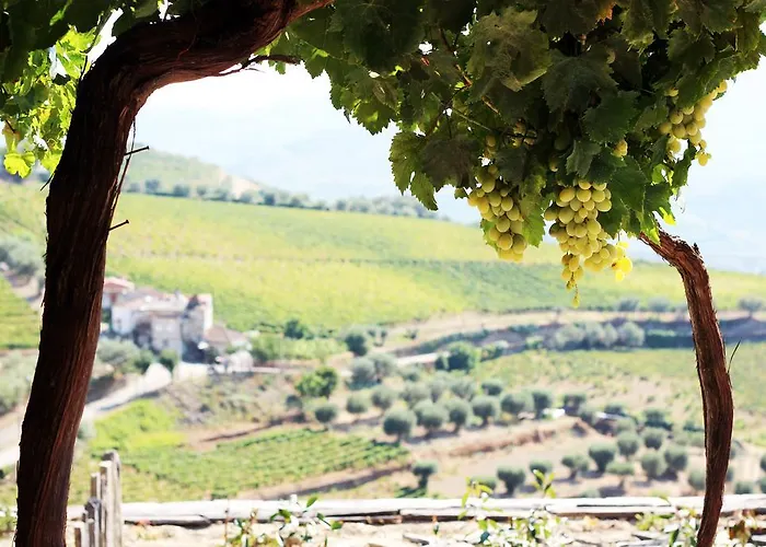 Hétvégi ház Quinta Da Pitarrela