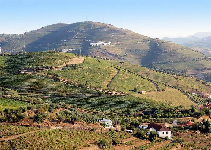 Hétvégi ház Quinta Da Pitarrela *